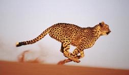 科技馆的巨幕影院有多大,科技馆巨幕影院球幕影院哪个好