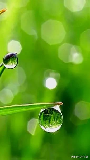 最美的手机壁纸大全,养眼养心的壁纸