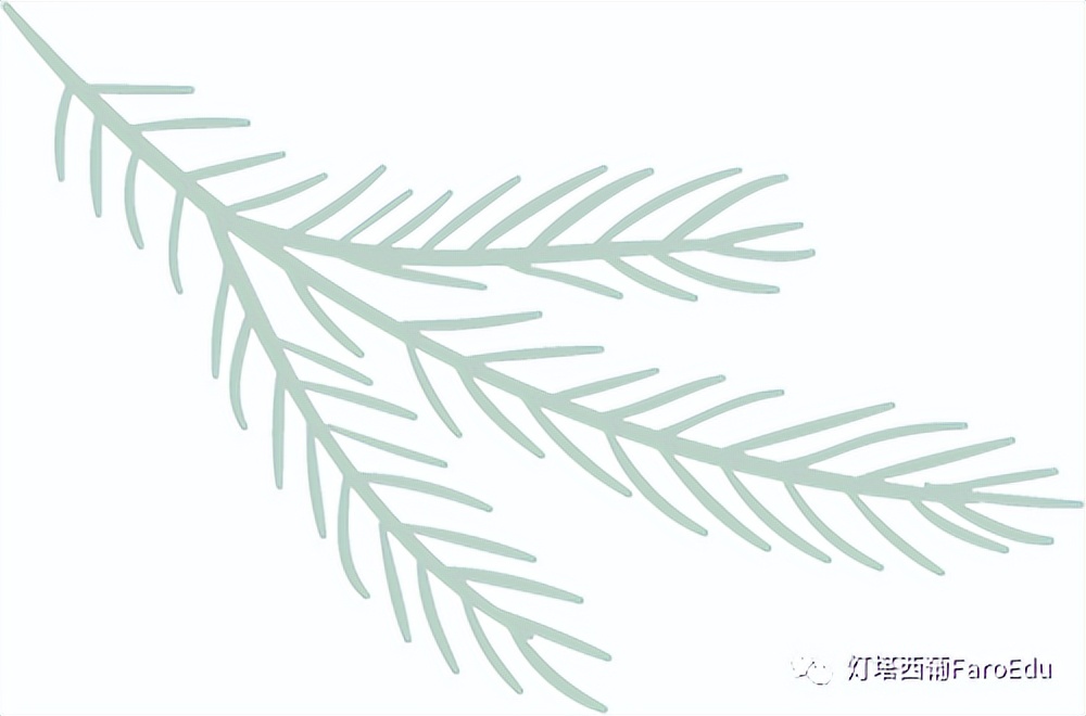 西班牙胡安卡洛斯国王大学排名,胡安卡洛斯国王大学官方硕士专业