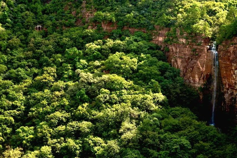 享受阳光享受大自然天然氧吧,值得一去的天然森林氧吧