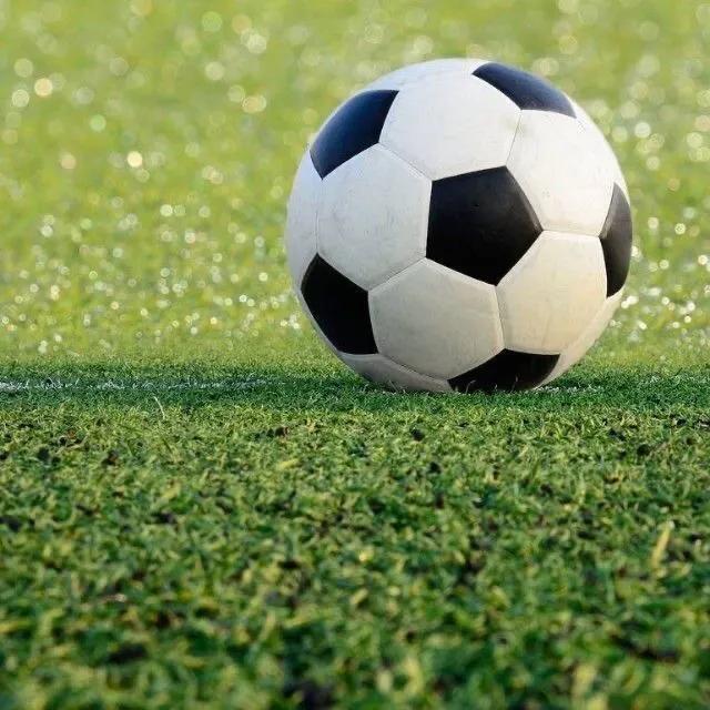 五大联赛积分榜22-23,今日足球五大联赛德甲分析