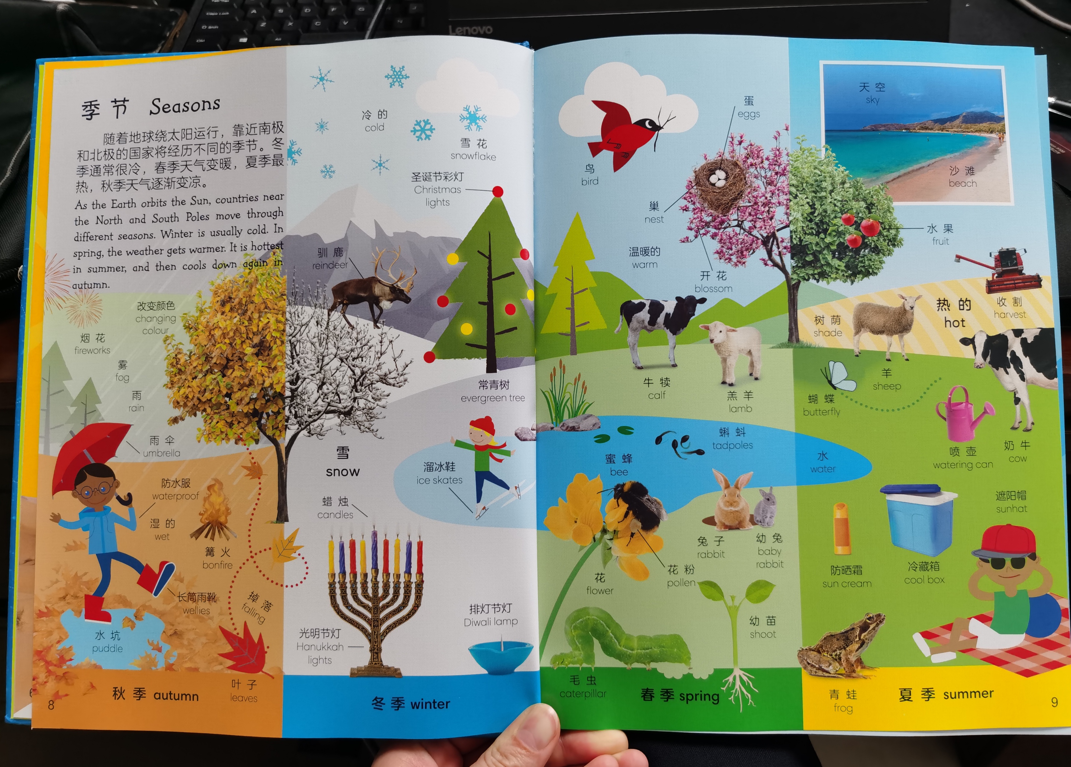 如何给孩子选英语启蒙书,如何教会孩子选择书