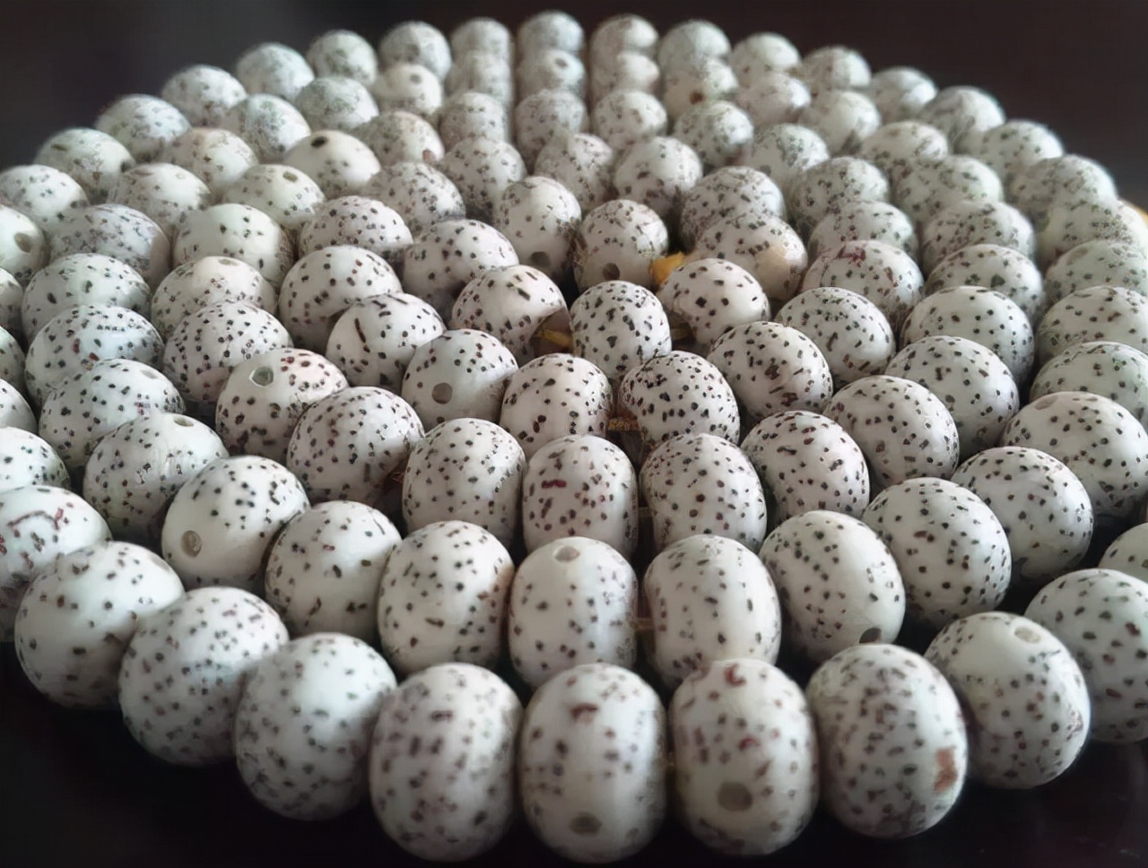 星月菩提有哪几种造型,星月菩提特殊造型