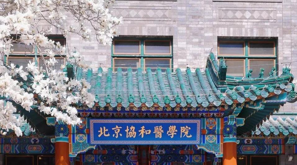 北京协和医学院专业排名,北京协和医学院研究生专业排名