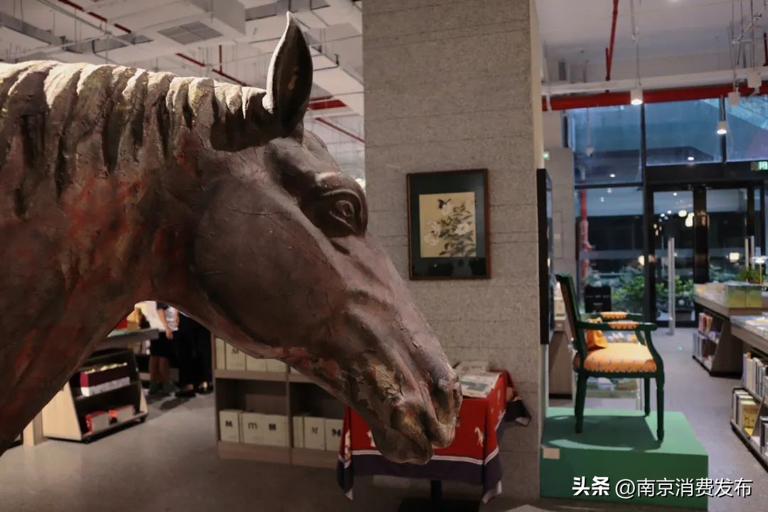 南京citywalk指南,南京12月份citywalk