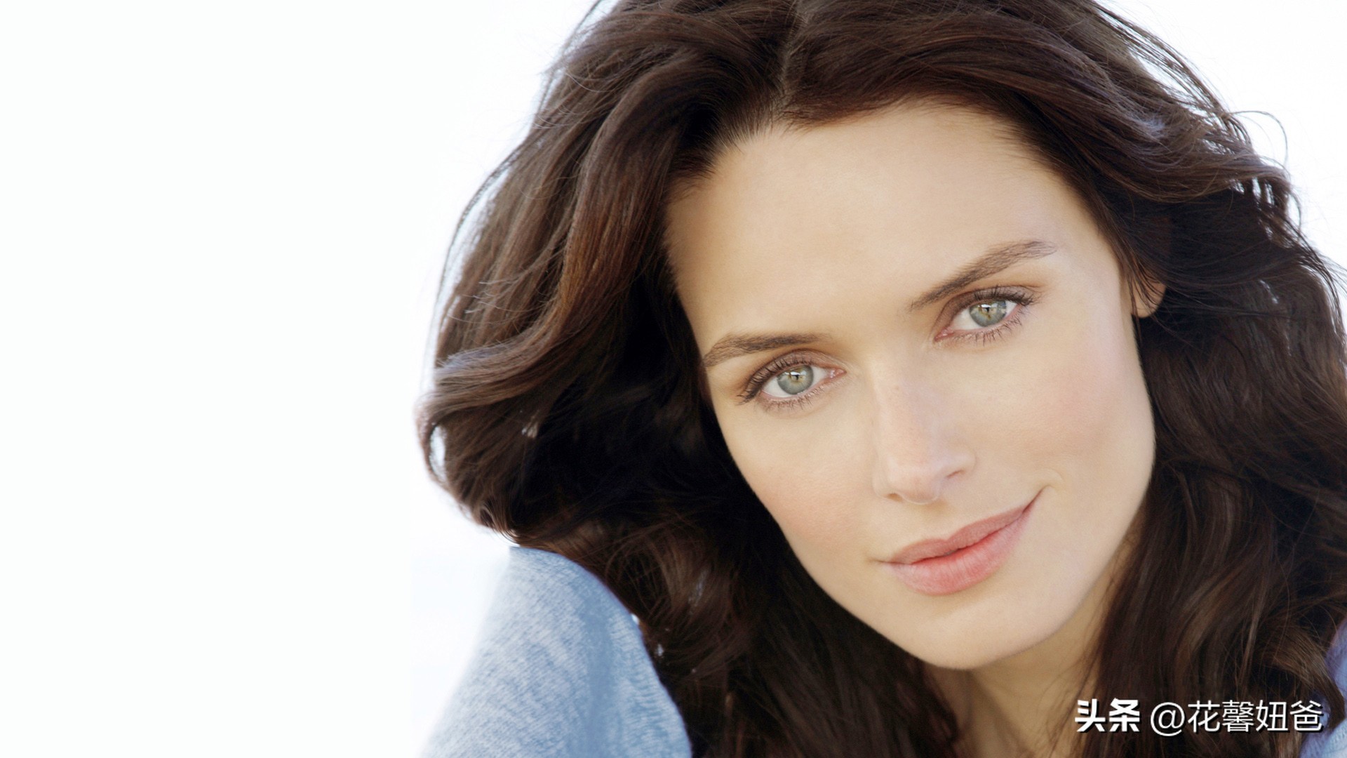 卡塔尔世界杯荷兰,卡塔尔世界杯观赛指南书籍