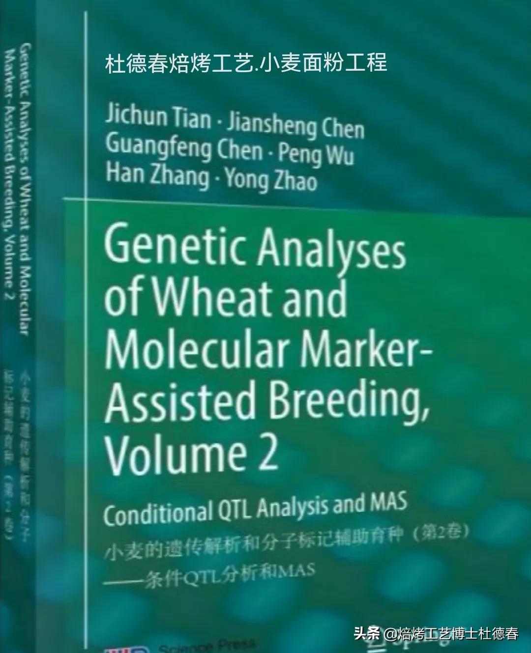 做面包饺子用什么面粉,做水饺馒头用什么面粉最好