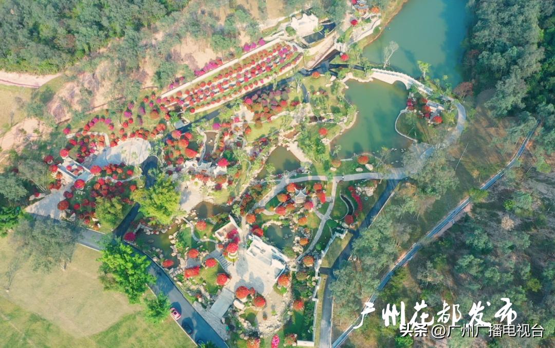 新春走基层团圆添暖意,新春走基层慰问