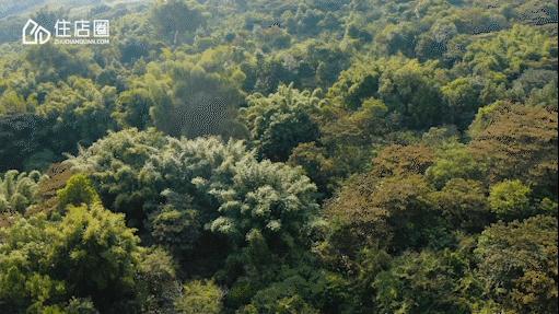 广州温泉度假区，必打卡增城金叶子，超值899一年无限次使用，值