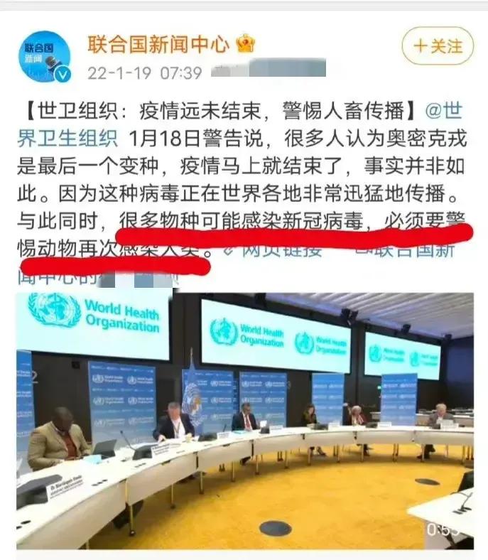 为什么宠物不携带新冠病毒,央视新闻发布宠物不携带新冠病毒