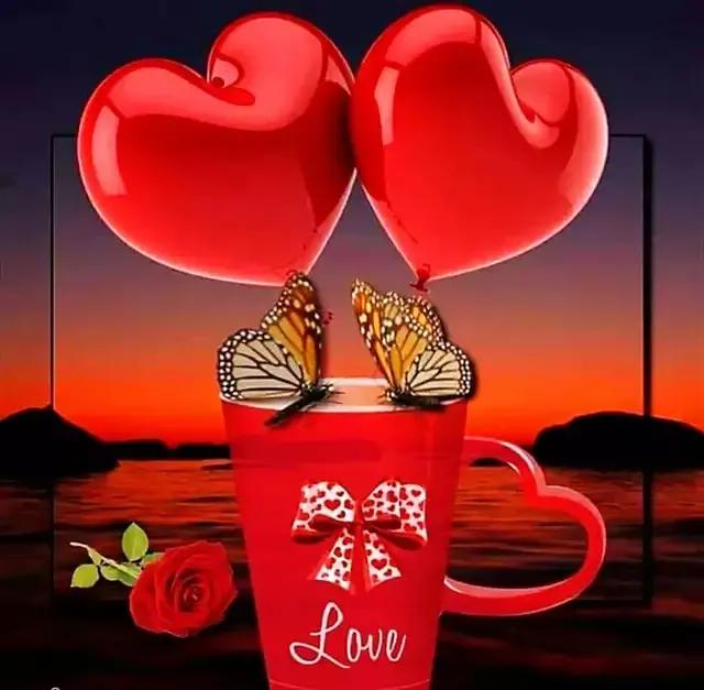 手拿心形图片,心形图片大全