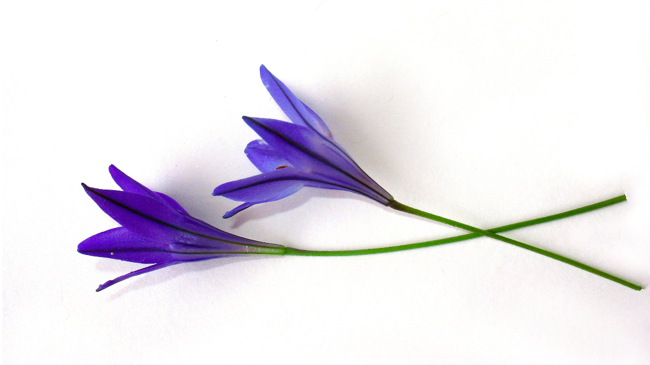 如何接受一个人独自生活的孤独,一个人生活怎么抗拒孤独