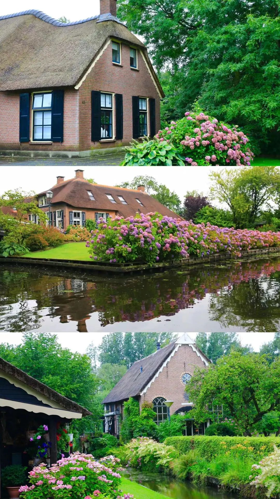 荷兰旅行自行车,荷兰骑自行车旅游