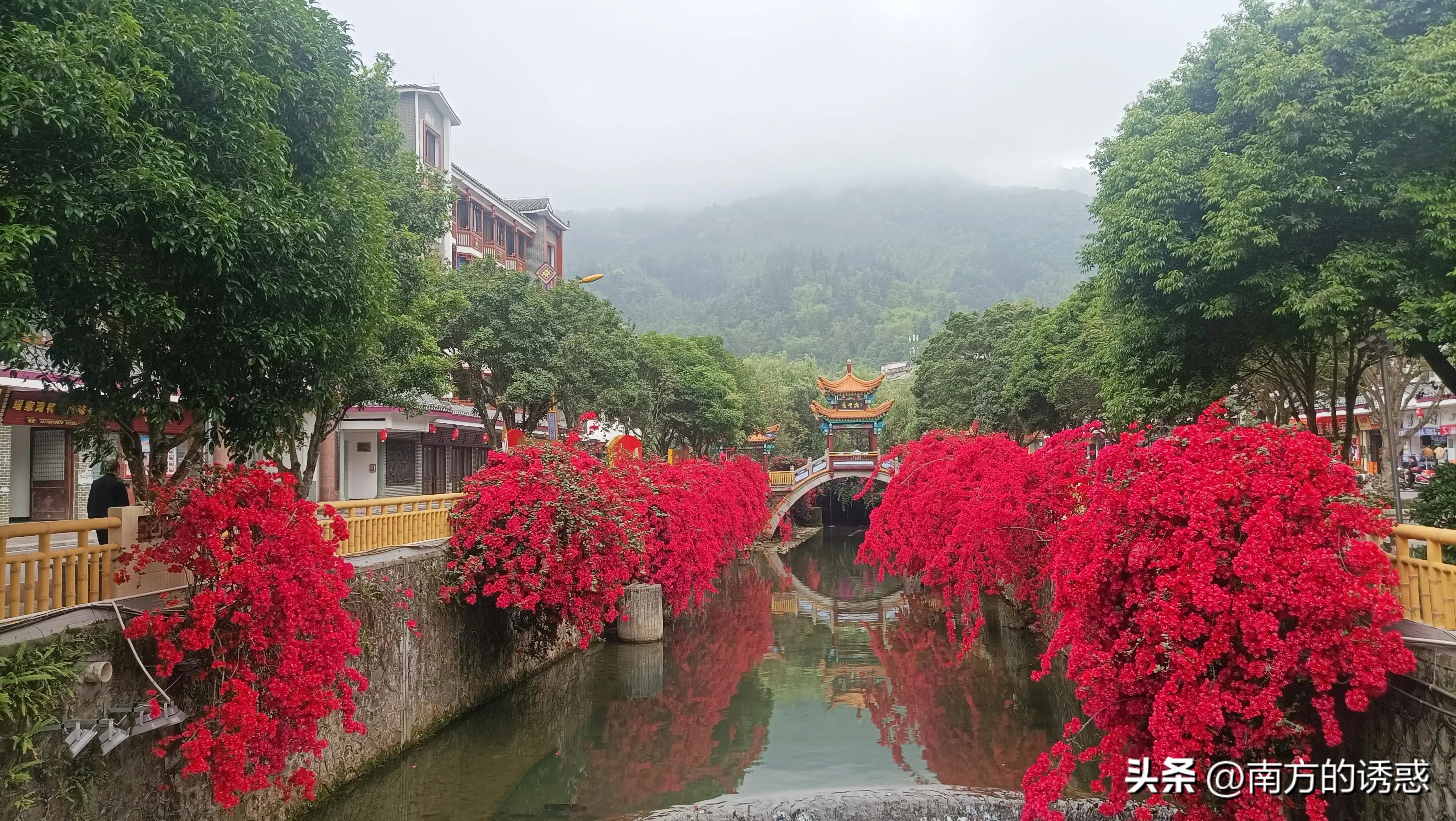 金秀周边哪里有小河可以玩,金秀镇附近小溪