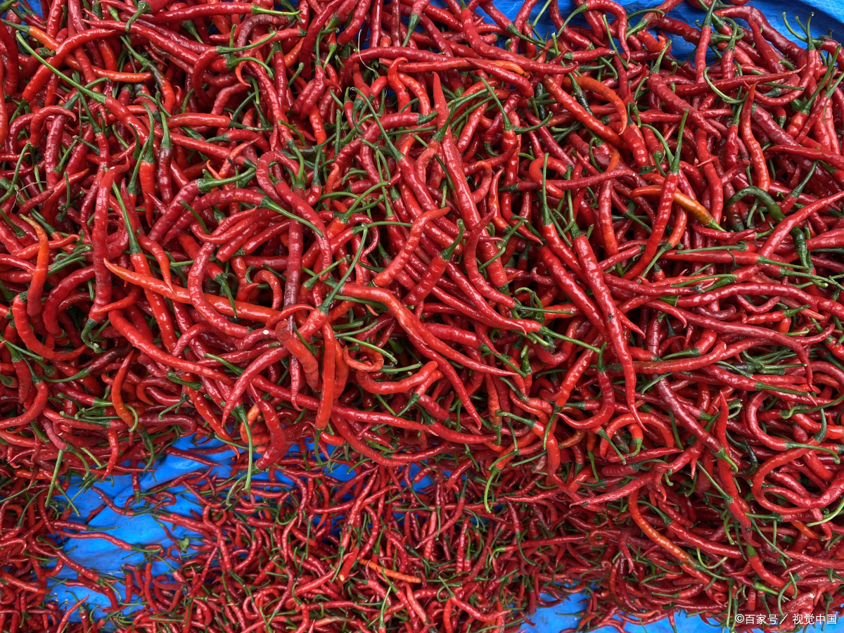 咸阳特产必买的10款,咸阳长武县十大特产