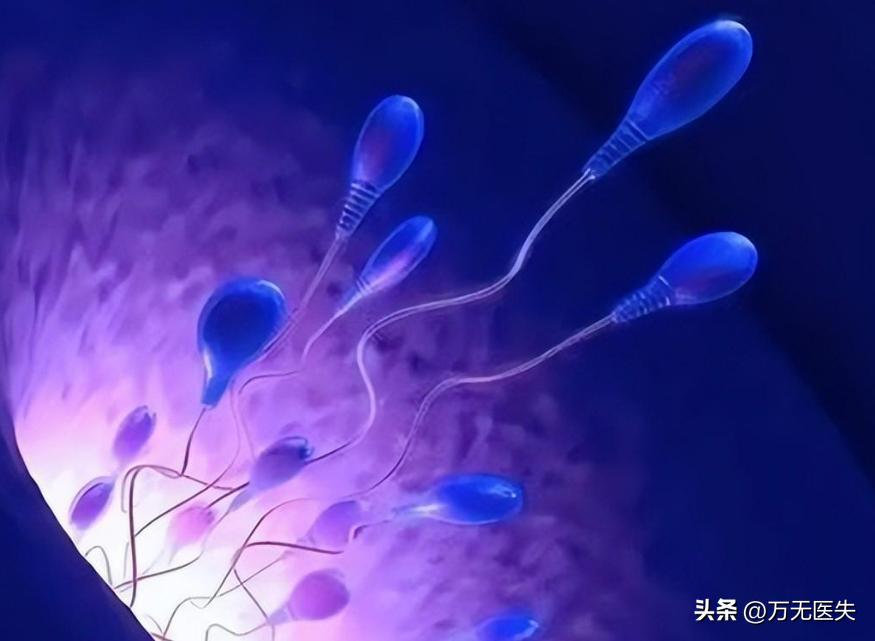 那些进入女性体内,没有成功“受精”的精子,最后都怎样了?