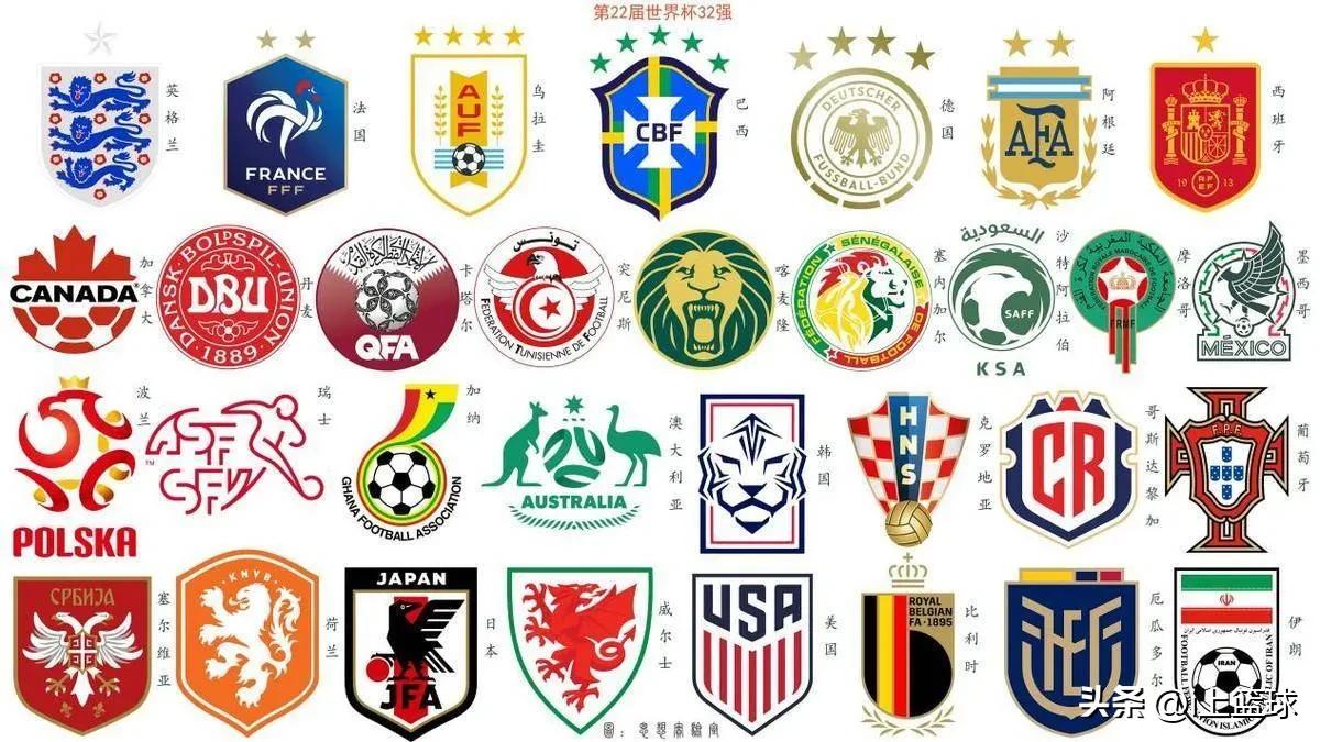 卡塔尔世界杯各队别称,卡塔尔世界杯上的奇葩名字