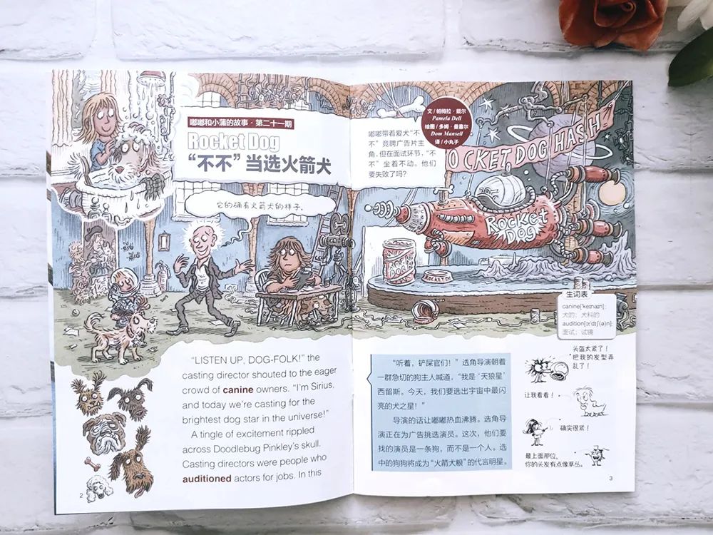 小学英语科普汇总,一张表搞定小学英语