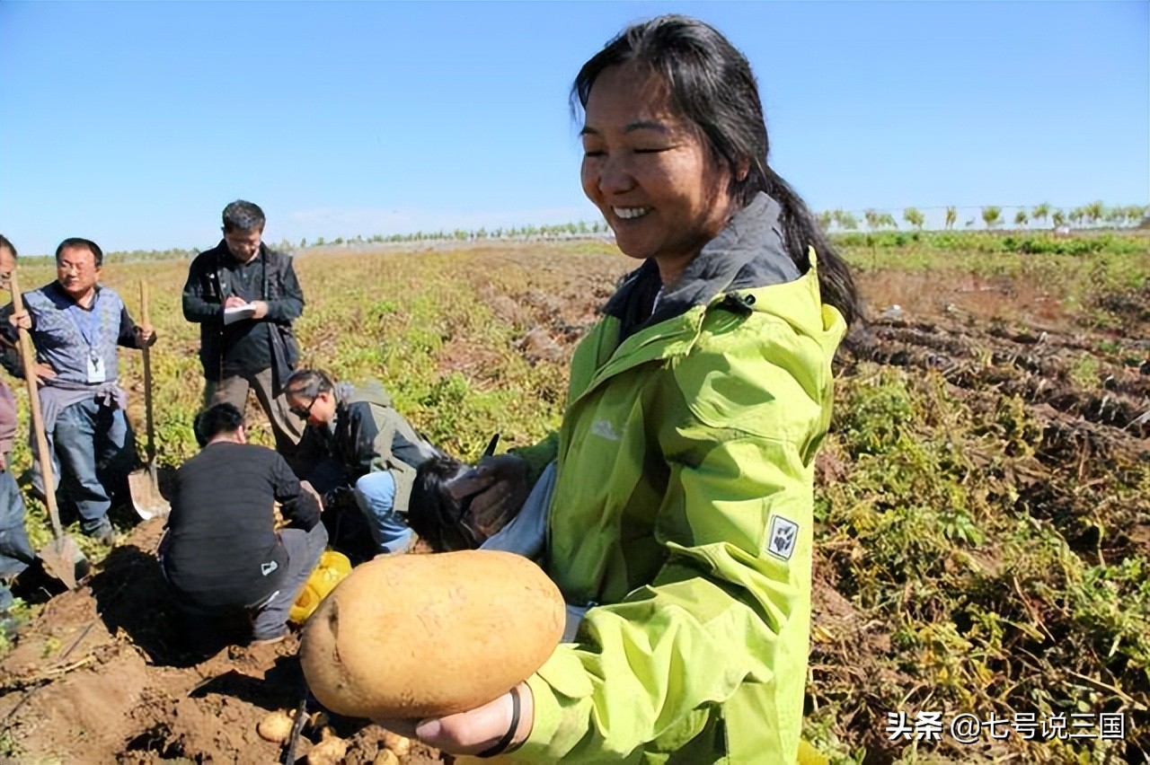 世界五大粮食生产国是哪些,世界前十大粮食生产国