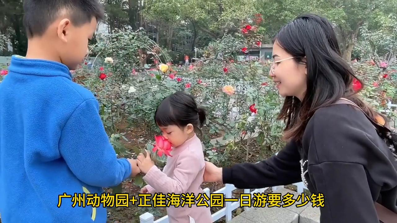 广州动物园二日一夜旅游推荐,广州公园动物园门票多少钱