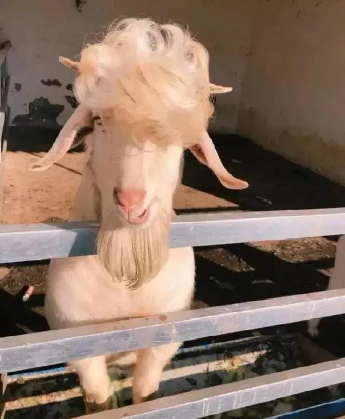 女朋友的第六感有多强,恋爱中的女生第六感为什么那么强