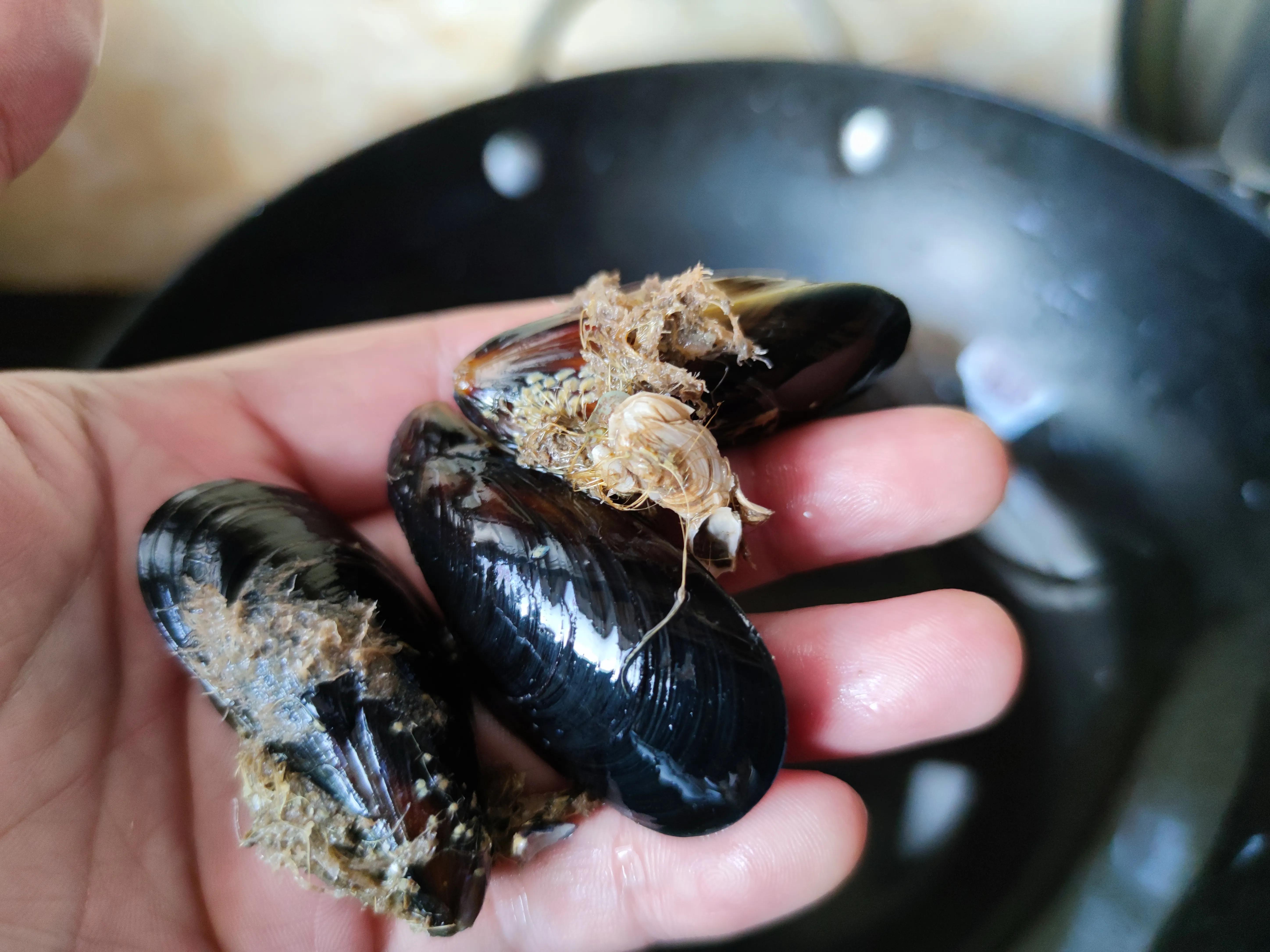 这个季节适合吃的小海鲜,春季肥美的小海鲜