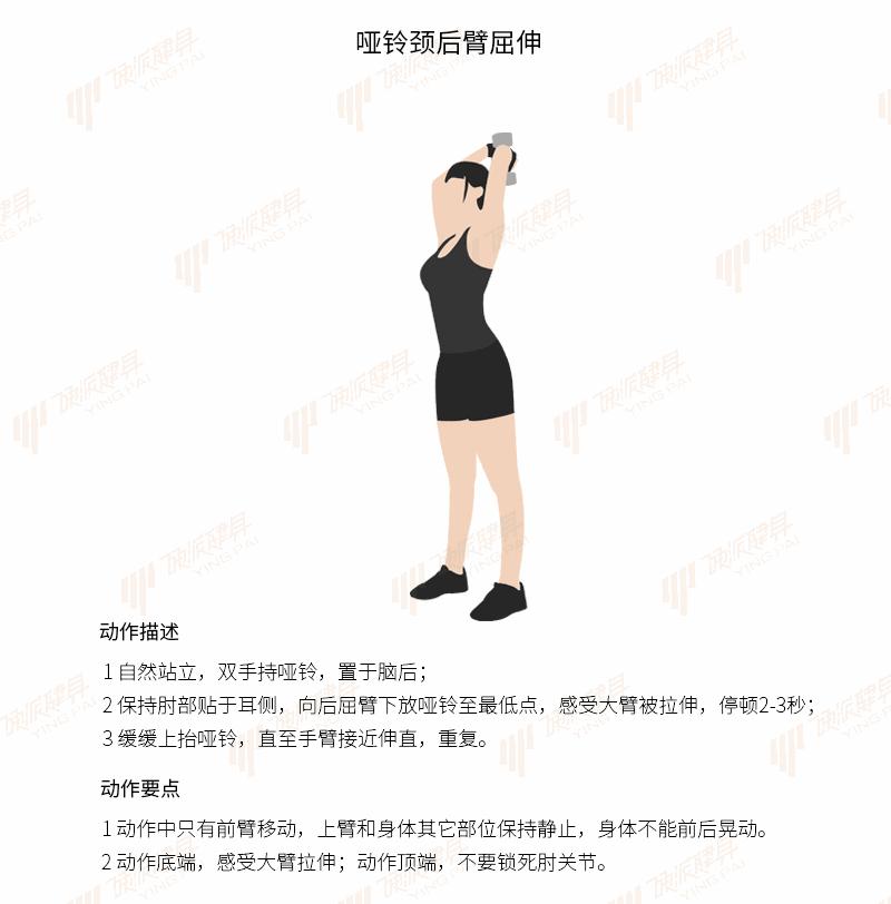 教你用一对哑铃,在家就能瘦全身