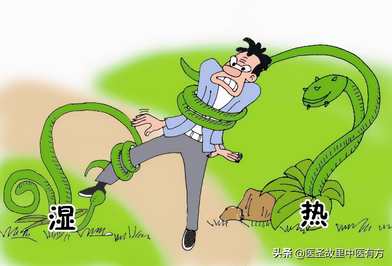 化湿名方三仁汤剂量,三仁汤治湿热的配方