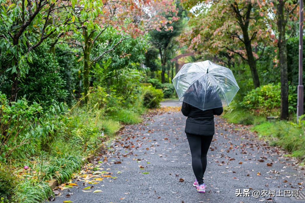 暴雨来袭的天气预报怎么播报,天气预报今天大暴雨下到哪了