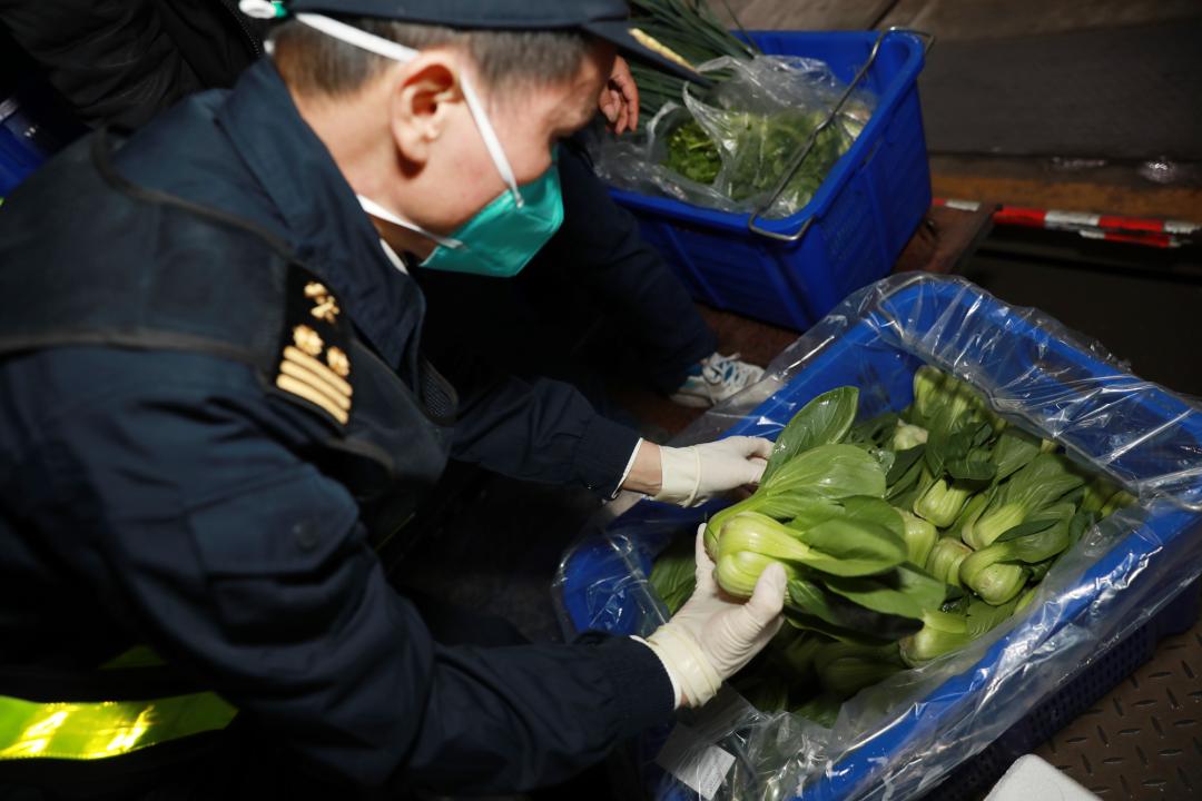 澳门的年味有多浓抖出新年味,国门之春国门上的别样年味