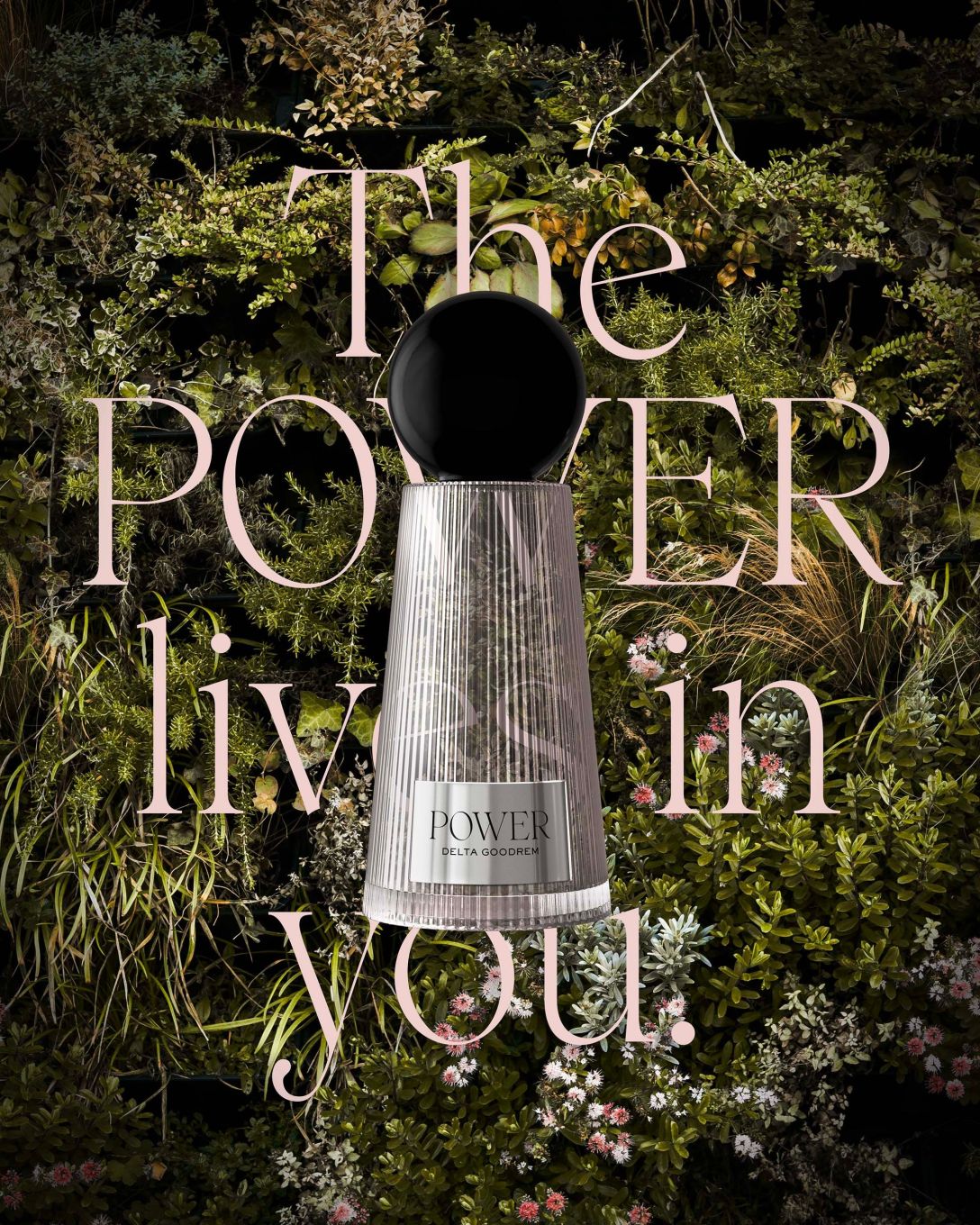 各种格式的品牌logo设计,全套品牌logo设计