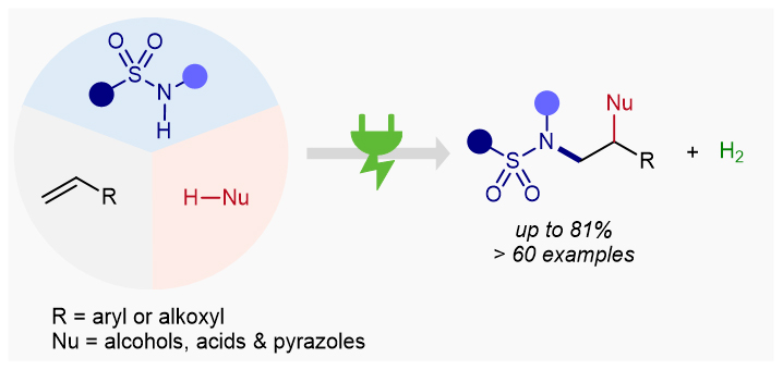 三周发四文：雷爱文团队光电赋能绿色物质转化最新进展