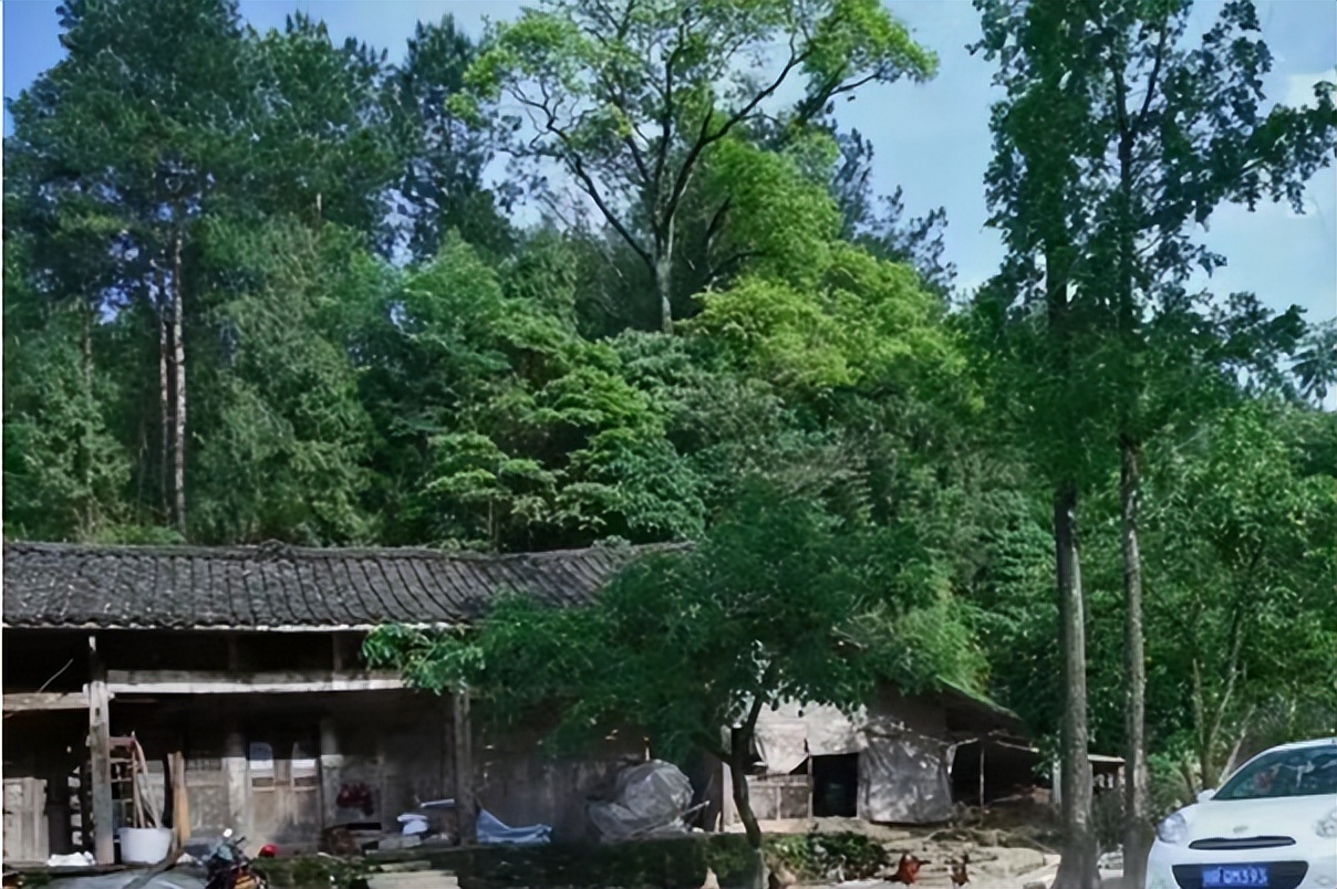 新农合涨价还能继续交吗,新农合涨价六类人不用交