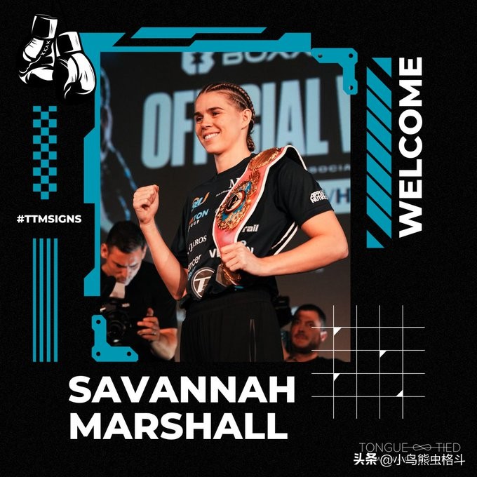 拳击预告12月,拳击预告