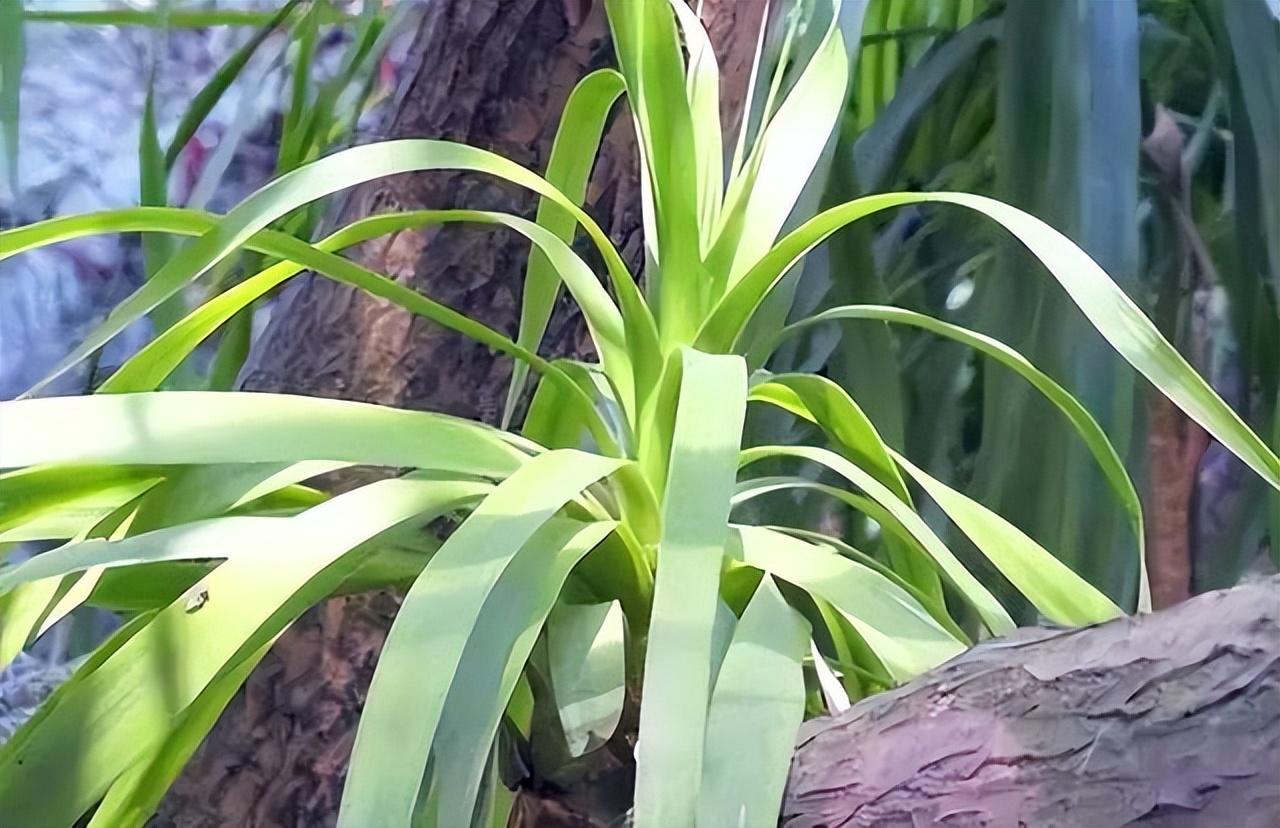 夏天车内快速降温的正确使用方法,夏天车内快速降温