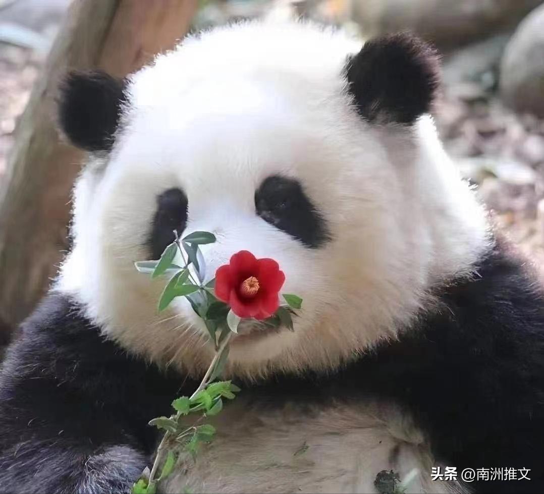 美学公式空菊,美学公式by空菊讲什么