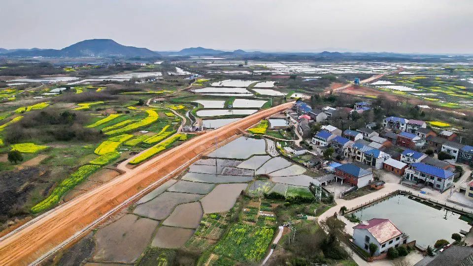 鄂州市泽林镇最新消息,鄂城区泽林镇泽林街