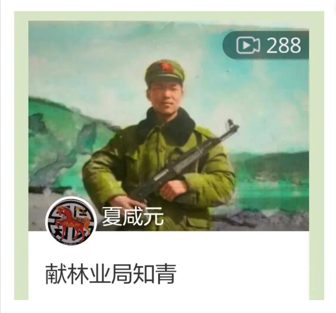 林海知青之：《过大年忆东北杀猪菜》