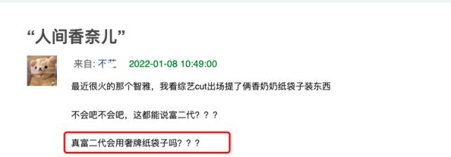 宋智雅纸袋,宋智雅奢侈衣服