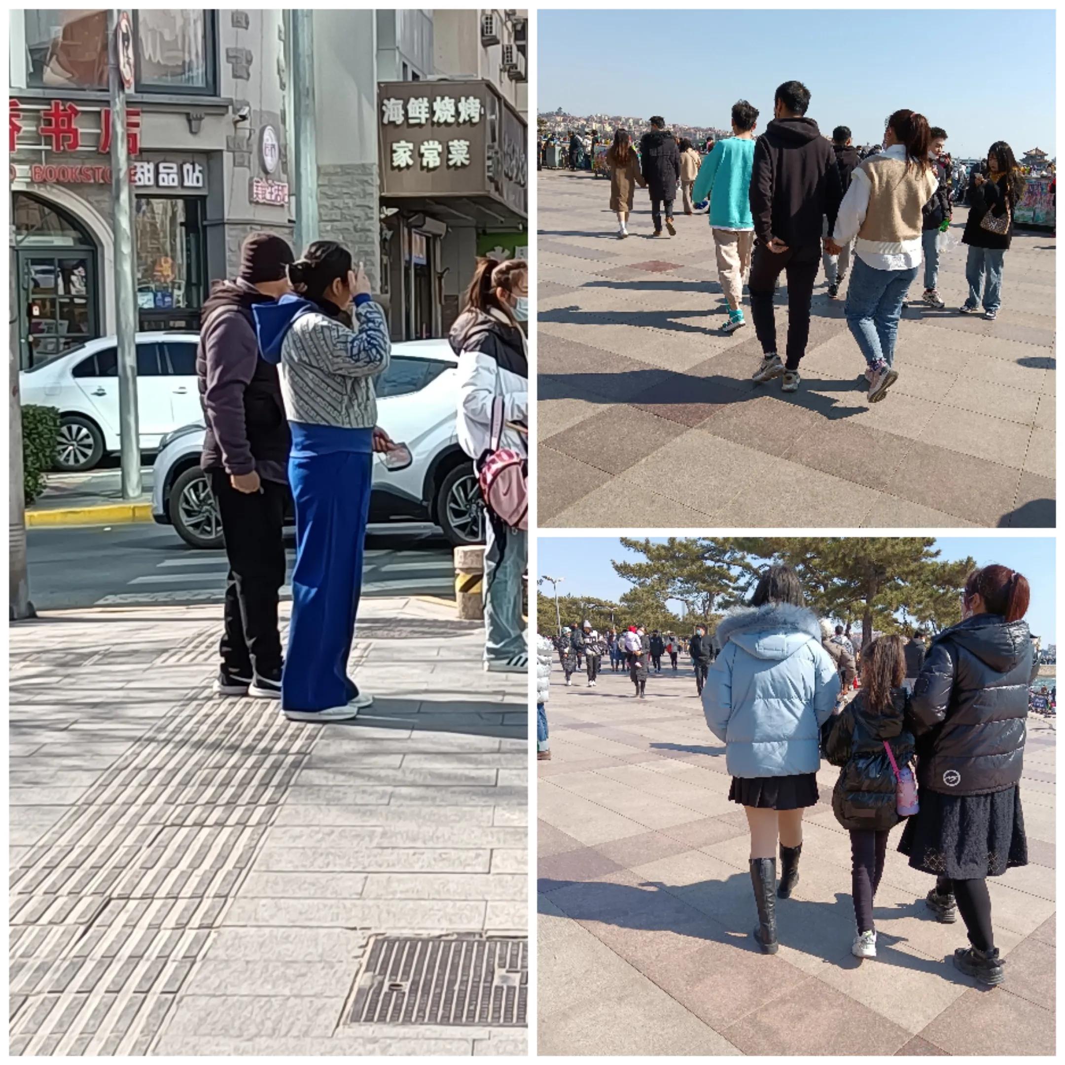 海鸥和海浪的声音,大海海浪海鸥视频