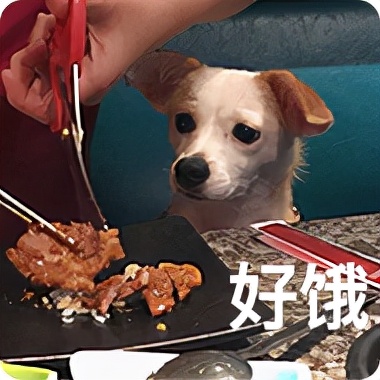 剑网三110小橙武五毒,剑网三110小橙武任务流程