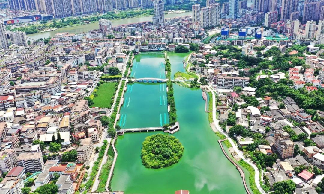 浮岛是什么样子的,浮岛是什么样的