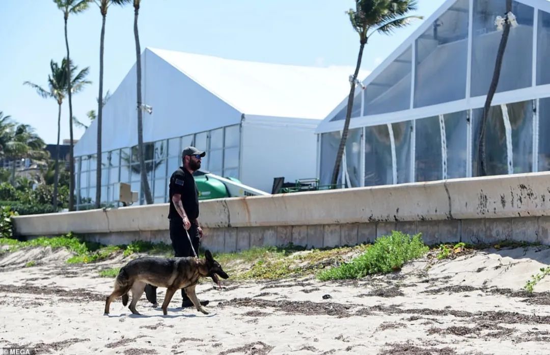 美国巨富千金VS英国名人公子，顶豪家族的婚礼到底有多震撼？