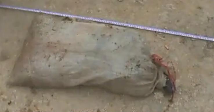 2011年，男子3000元购买藏獒，被盗后怒杀小偷，连其儿子也不放过