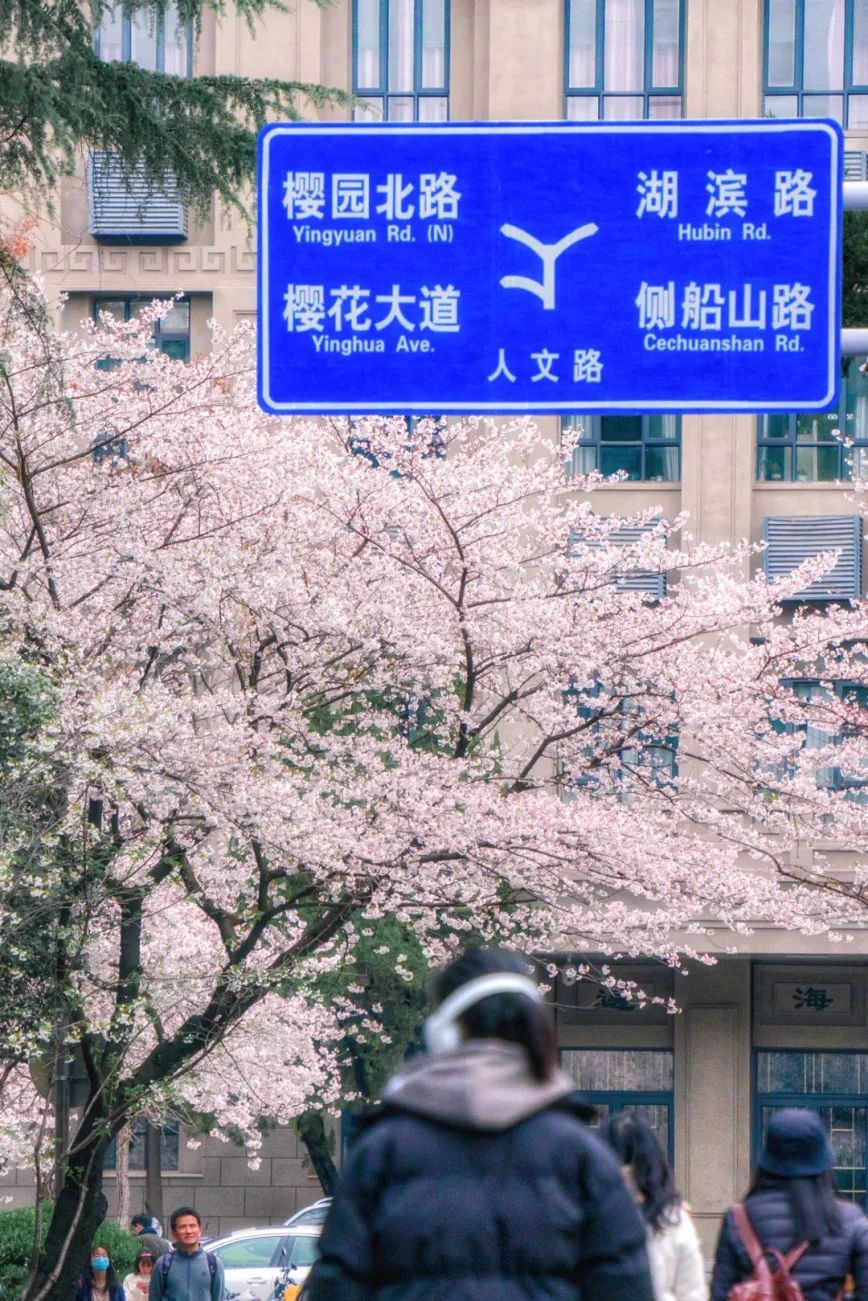 环抱东湖水，坐拥珞珈山！武汉大学：百卅恢宏享盛誉，峭峻风骨育栋梁！