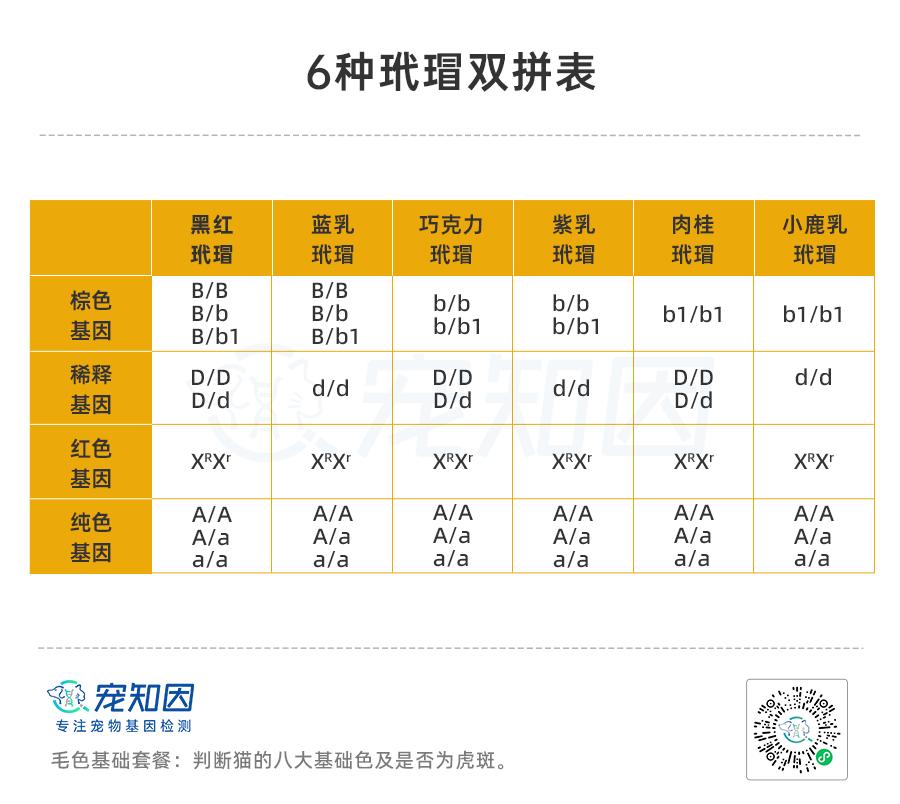 基因技术重大突破,基因科技的重大突破