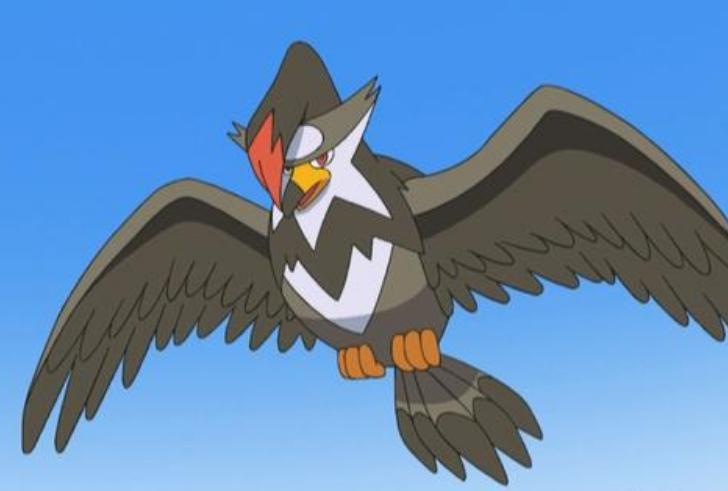 《宝可梦》姆克鹰依然是飞行系主要输出？不同特性不同线路？