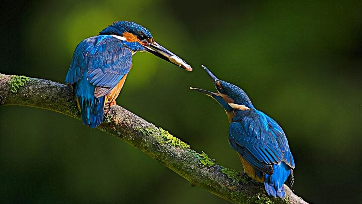 12首关于春风的小诗，浴春风十里，享万般情思