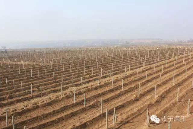 不忘初心继续前行方得始终,不忘初心继续前进攻坚克难