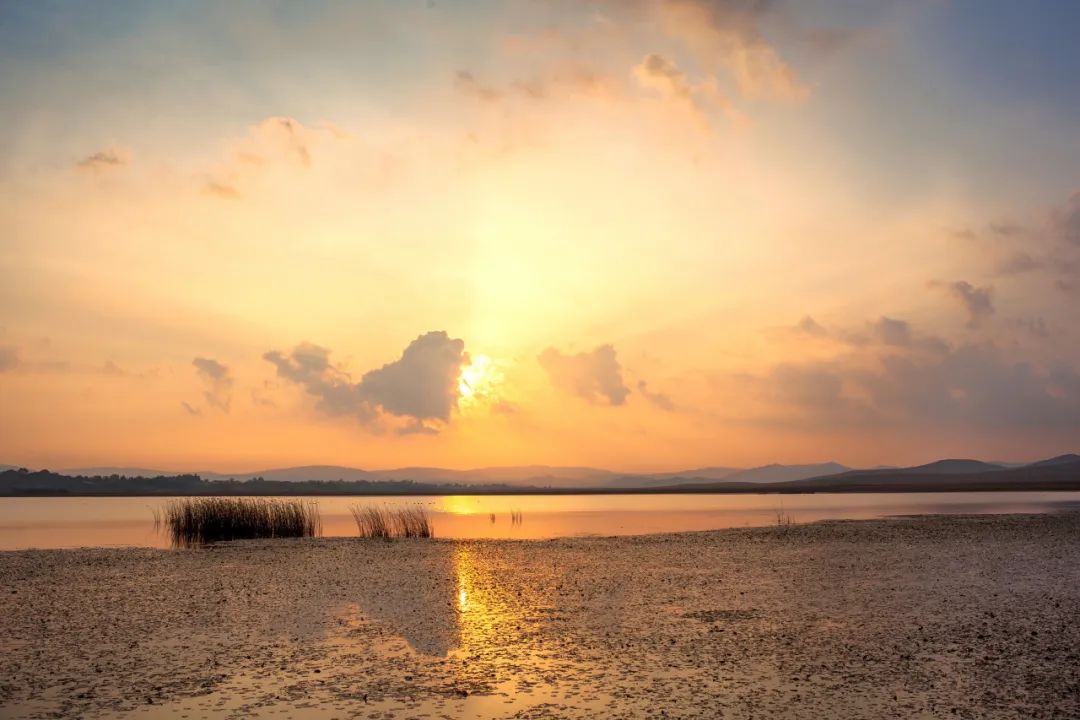 离北京最近的草原避暑胜地,华北夏季避暑好去处